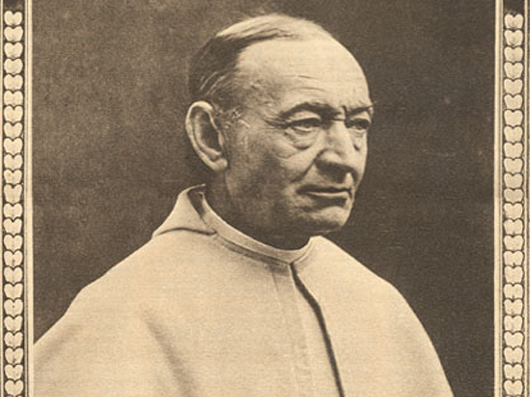 vandenelzen